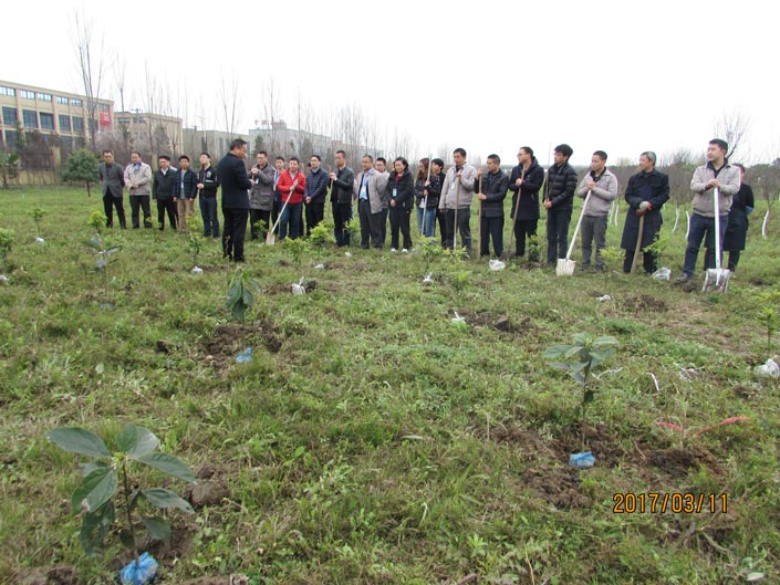 腾博会官网·专业效劳,诚信为本