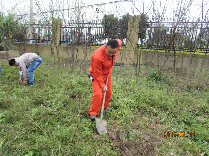 腾博会官网·专业效劳,诚信为本